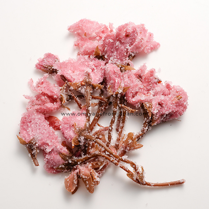 Pickled Sakura Cherry Blossoms 30g | Directly From Japan