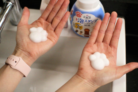 Kao Biore Foam Paws Stamp Hand Soap Print sugoi amazon beauty omiyage from japan tiktok