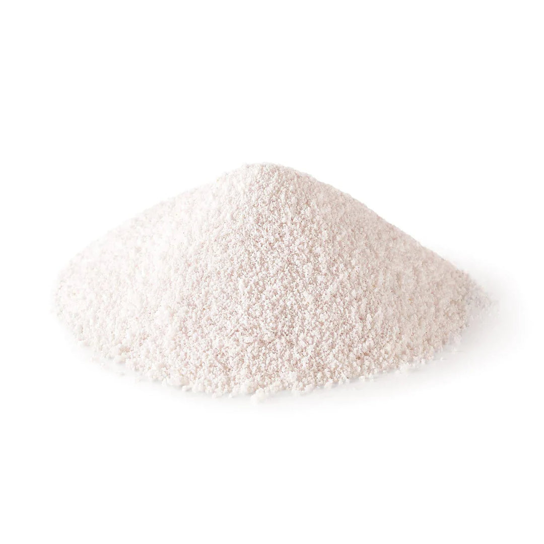 Shiseido Low Molecular Fish Collagen Powder